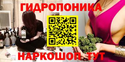 Альфа ПВП Пенза